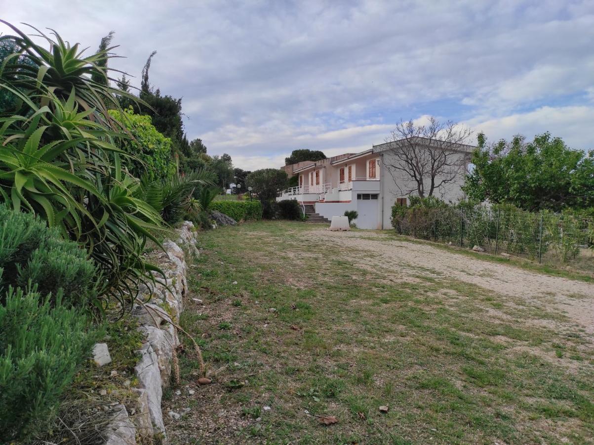 Bellavista Apartments Scopello  Eksteriør billede